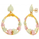 Earrings - by Landstrom's